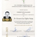 Ampliar imagen: certificate 1