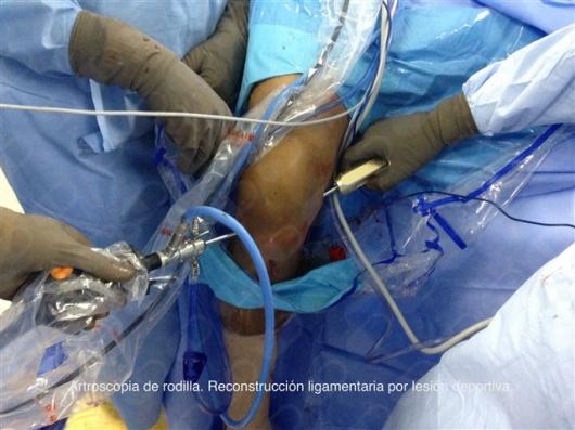 Rodrigo Sánchez Herrera-6