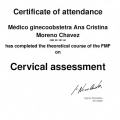 Ampliar imagen: certificate 3