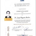 Ampliar imagen: certificate 3