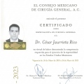 Ampliar imagen: certificate 2