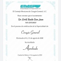 Ampliar imagen: certificate 1