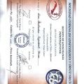 Ampliar imagen: certificate 1