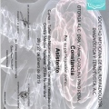 Ampliar imagen: certificate 9
