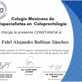 Ampliar imagen: certificate 10