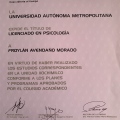 Ampliar imagen: certificate 2