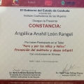 Ampliar imagen: certificate 11