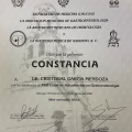 Ampliar imagen: certificate 28