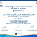 Ampliar imagen: certificate 32