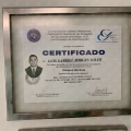 Ampliar imagen: certificate 14