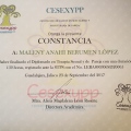 Ampliar imagen: certificate 1