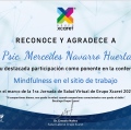 Ampliar imagen: certificate 7