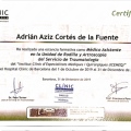 Ampliar imagen: certificate 7