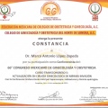 Ampliar imagen: certificate 44
