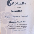 Ampliar imagen: certificate 8