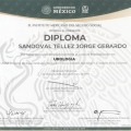 Ampliar imagen: certificate 11