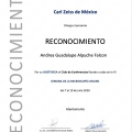 Ampliar imagen: certificate 8