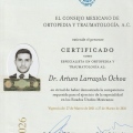 Ampliar imagen: certificate 3