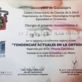 Ampliar imagen: certificate 25