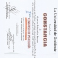 Ampliar imagen: certificate 6