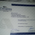 Ampliar imagen: certificate 6