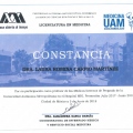 Ampliar imagen: certificate 13
