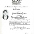Ampliar imagen: certificate 5