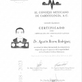 Ampliar imagen: certificate 3