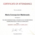 Ampliar imagen: certificate 20
