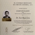 Ampliar imagen: certificate 1