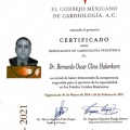 Ampliar imagen: certificate 3