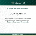 Ampliar imagen: certificate 6