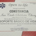 Ampliar imagen: certificate 6
