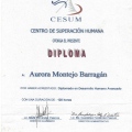 Ampliar imagen: certificate 25