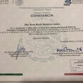 Ampliar imagen: certificate 18