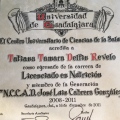 Ampliar imagen: certificate 20