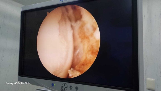 Jaime Galvan Alaniz-8