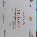 Ampliar imagen: certificate 2