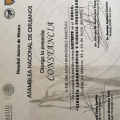 Ampliar imagen: certificate 10