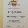Ampliar imagen: certificate 80