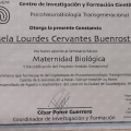 Ampliar imagen: certificate 7