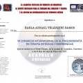 Ampliar imagen: certificate 7