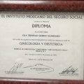Ampliar imagen: certificate 5