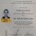 Ampliar imagen: certificate 8