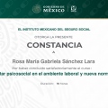 Ampliar imagen: certificate 2