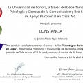 Ampliar imagen: certificate 5