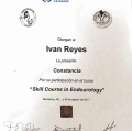 Ampliar imagen: certificate 7