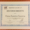 Ampliar imagen: certificate 7