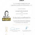 Ampliar imagen: certificate 5