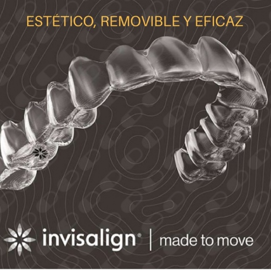 Catalina Cabezas Cortes-7